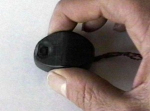 raton pequeño raton pequeño