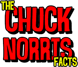 Chuck Norris Programador