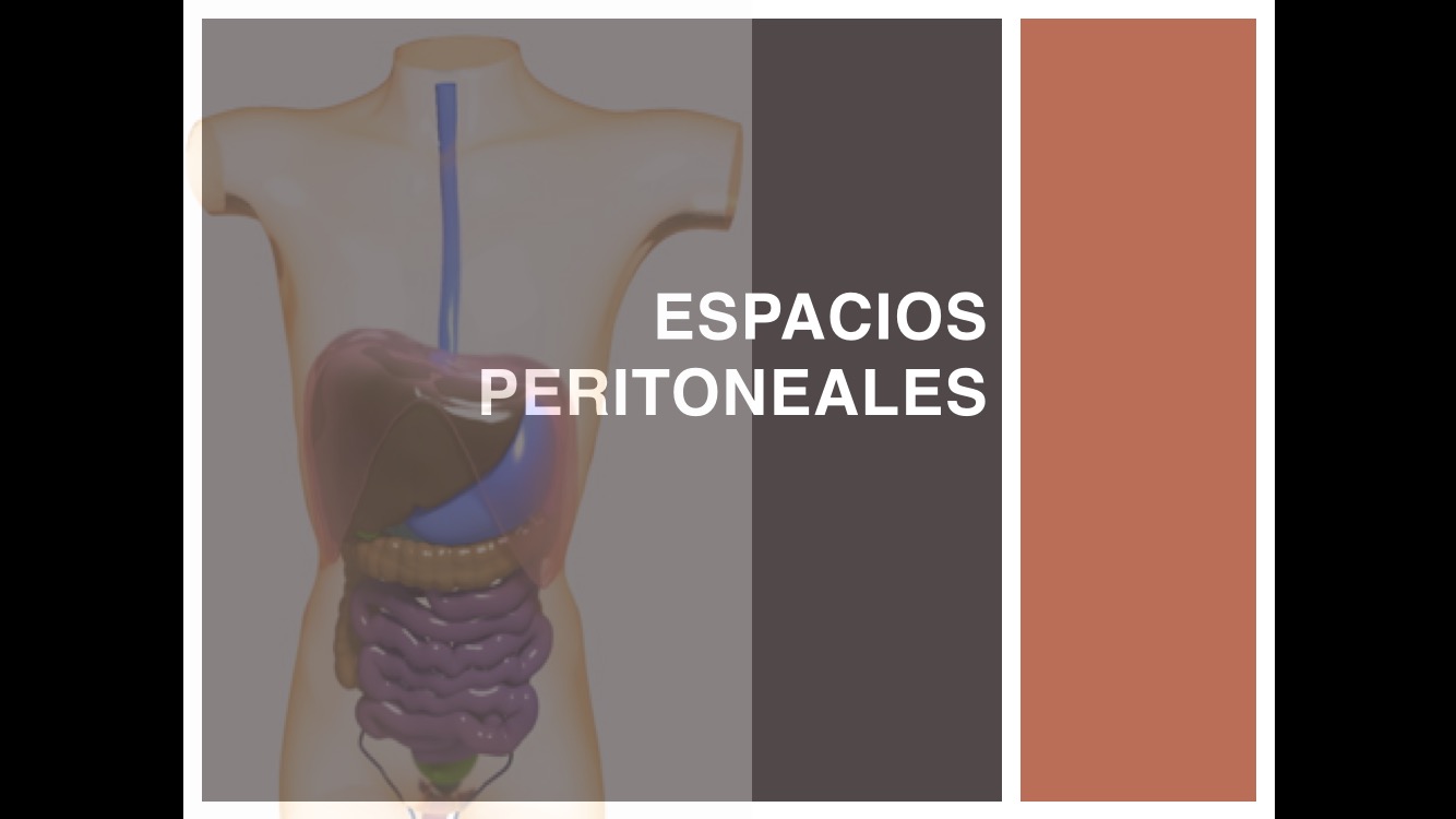 AnatomÃ­a espacios peritoneales
